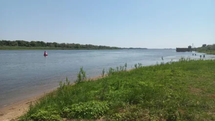 В посёлке Ильинка Астраханской области утонули бабушка и её два внука