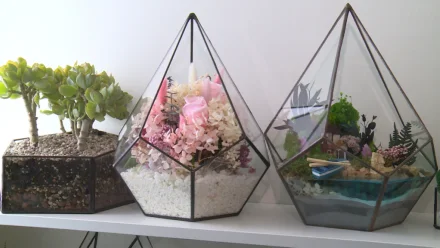 Астраханка создаёт необычные композиции из растений 