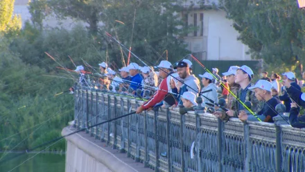 Порядка 400 человек зарегистрировалось на фестиваль “Вобла 2021”