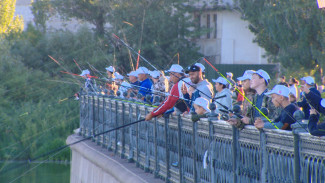 Порядка 400 человек зарегистрировалось на фестиваль “Вобла 2021”