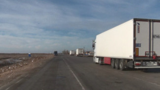 7 тысяч тонн подкарантинной продукции ввезли в Астраханскую область в 2020 году