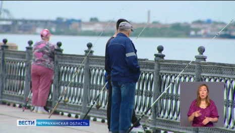 Астраханцам рассказали как не нарушить нерестовый запрет