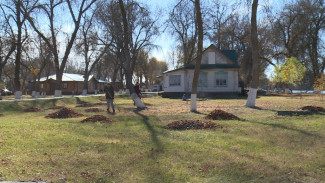 Волонтёры со всей России проводят сезонную уборку в Астраханском заповеднике