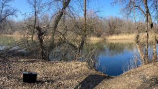 СК завершил дело об убийстве и изнасиловании 14-летней девочки под Астраханью