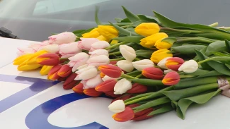 Накануне 8 марта для астраханские госинспекторы добавили нотку тепла для автоледи