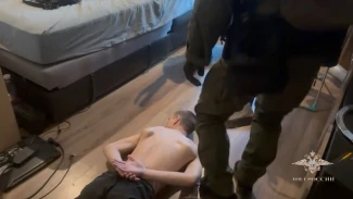 В Москве задержали хакеров, взломавших «Медузой» астраханское учреждение