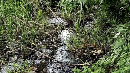 В Ахтубинске «Водоканал» оштрафован за причинённый вред почвам и реке