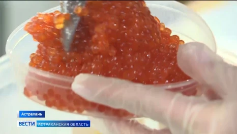 Астраханцы рискуют остаться без деликатеса за новогодним столом