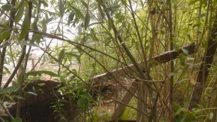 Под Астраханью незаконно ограничили доступ к протоке