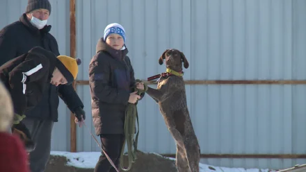 В Астрахани прошёл открытый чемпионат по кинологическому биатлону