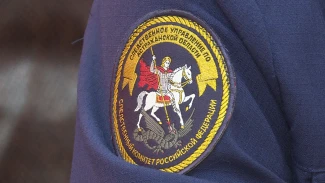 В Астраханской области возбудили уголовное дело по факту нападения собак на ребёнка