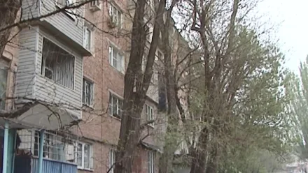 В Астрахани деревья угрожают безопасности жителей улицы Генерала Епишева 