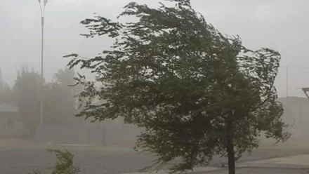 Четыре района Астраханской области оказались в зоне риска из-за непогоды