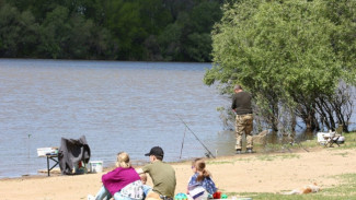 В Астраханской области поймали туристов, нарушивших правила ловли рыбы