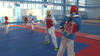 Астраханская область заняла 2 место на Кубке Северного Кавказа по тхэквондо