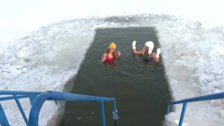 Астраханские моржи рассказали, какая погода идеальна для погружения