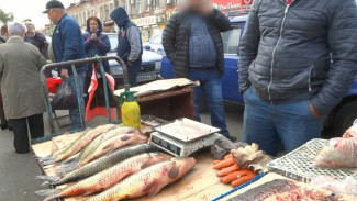 На Больших Исадах в Астрахани прошёл рейд по незаконной торговле рыбой