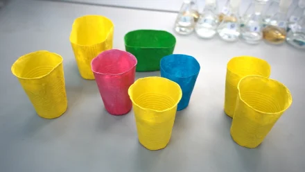 Аспирант АГТУ разработал биоразлагаемую посуду из переработанных отходов