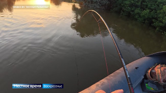 Рыбацкие паблики Астраханской области наполняются фотографиями и видео с поимкой сомов