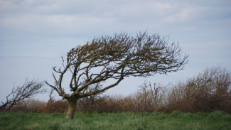 В Астраханской области прогнозируется штормовой ветер до 23 м/с