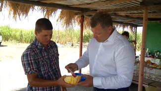 Игорь Бабушкин пообещал поддержать выращивание арбуза с белой мякотью