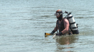 В Астраханской области водолазы подняли со дна вблизи пляжей более 100 кг мусора