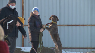В Астрахани прошёл открытый чемпионат по кинологическому биатлону