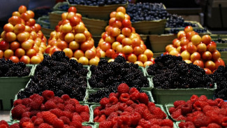 Астраханский Россельхознадзор рассказал о методах отбора продукции