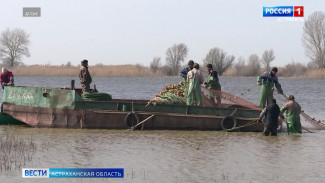 В Астраханской области ищут варианты спасения водных биоресурсов
