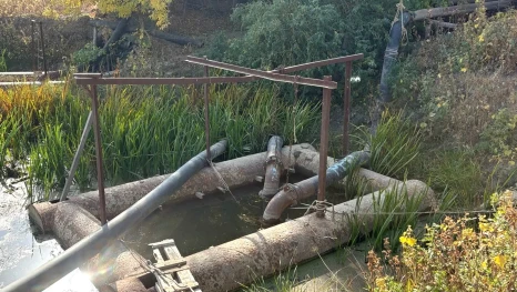 В Астрахани СНТ незаконно пользовались водой из протоки Царев