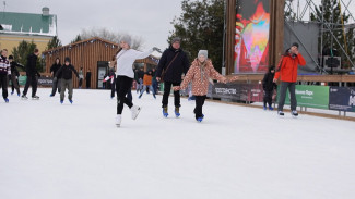 Как астраханцам ухаживать за коньками