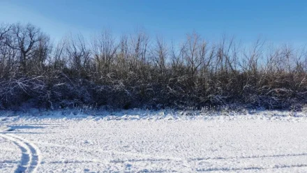 В Астраханской области один охотник застрелил другого, приняв за кабана