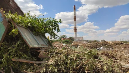 Астраханец незаконно вывозил отходы на арендованный земельный участок