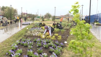 В Астрахани в парке «Антикормаш» провели субботник