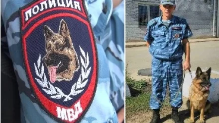 В Астраханской области служебная собака отыскала угнанный велосипед