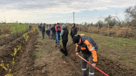 Железнодорожники высадили 700 деревьев в Астрахани