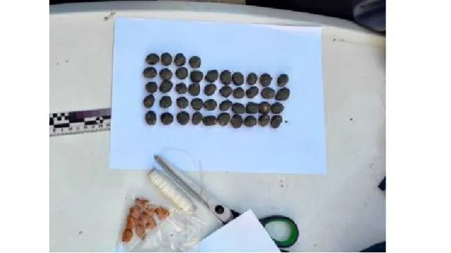 В Астрахани иностранец пытался сбыть замаскированные под камни наркотики