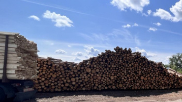 В Астрахани пресекли контрабанду лесоматериалов на более 8 млн рублей