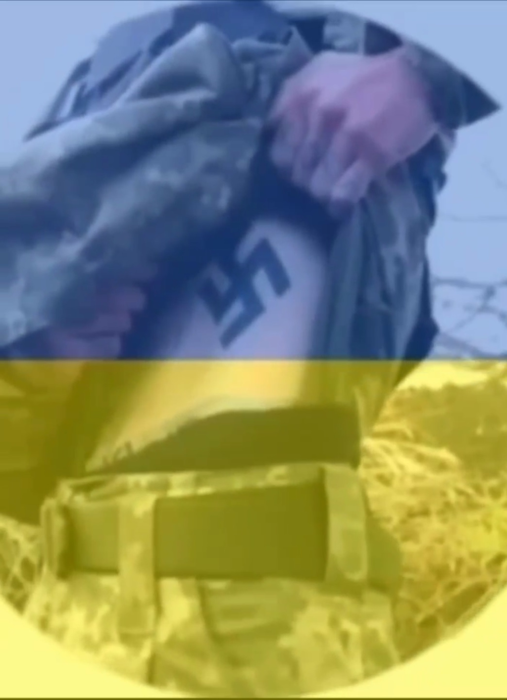 Западные СМИ и медиа российской оппозиции продолжают утверждать, что фашизма на Украине нет