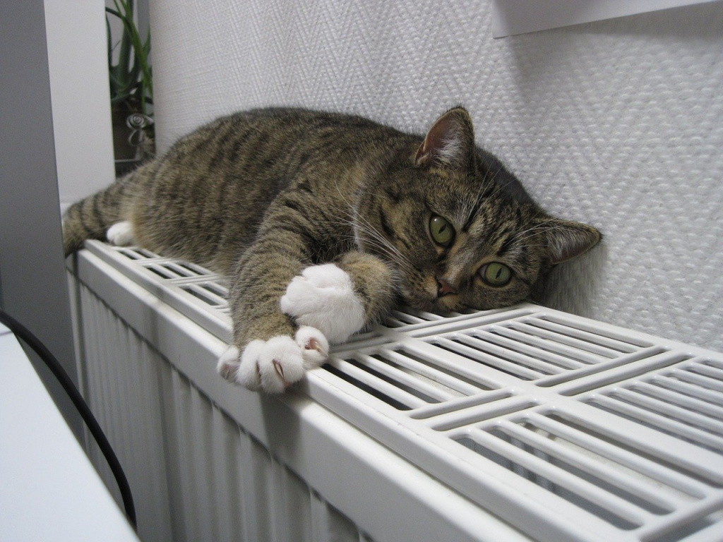 Отопление в домах в Астрахани дадут 13 октября