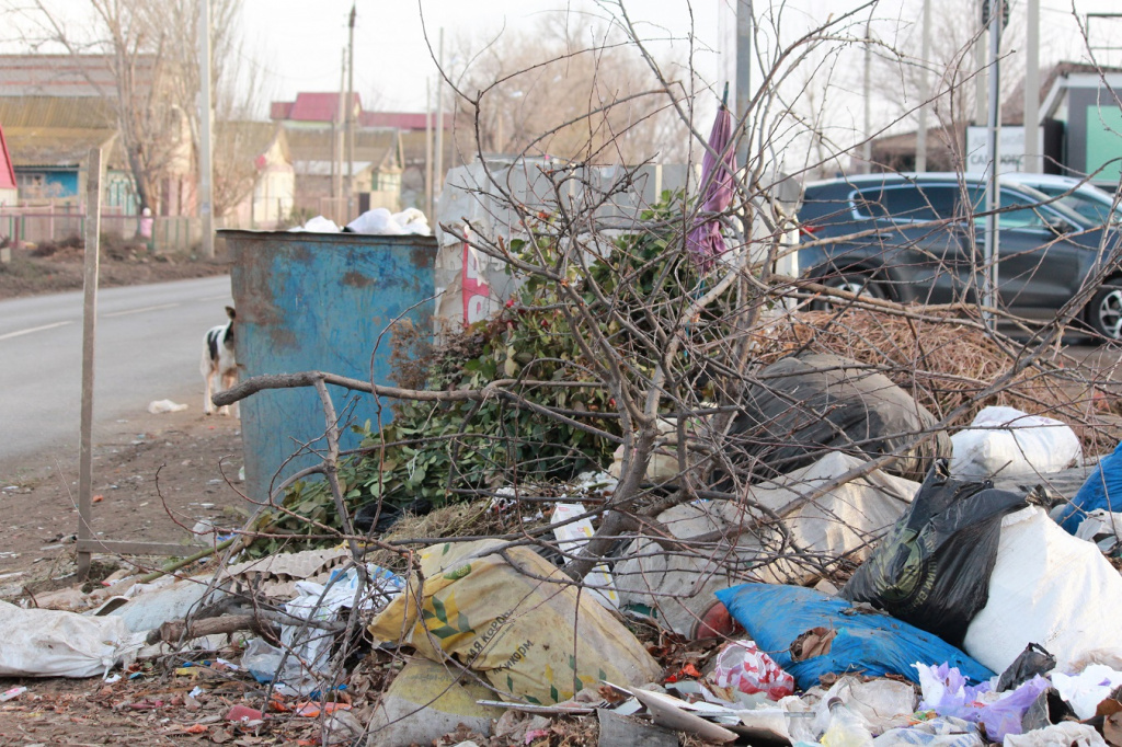 В Астрахани проблему несанкционированных свалок хотят решить при помощи территориальной схемы 