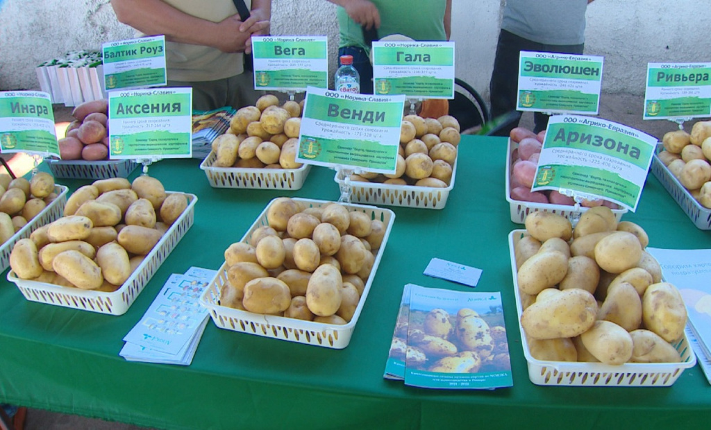 В Астраханской области обсудили технологии и перспективы выращивания картофеля