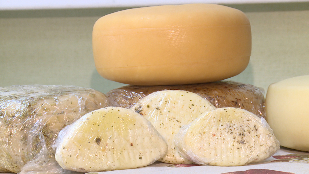 Астраханка наладила производство различных сортов сыра из козьего молока