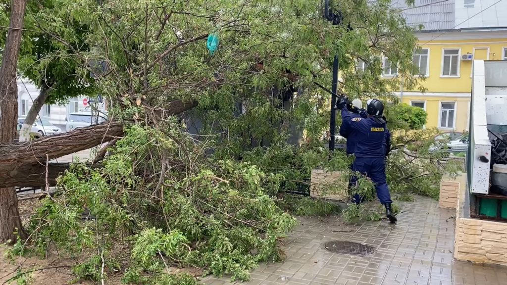 В центре Астрахани устраняют последствия падения дерева и столба