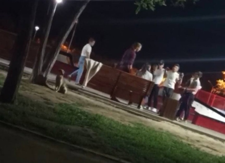 В Астрахани СК завершил дело о нападении на подростков в скейт-парке