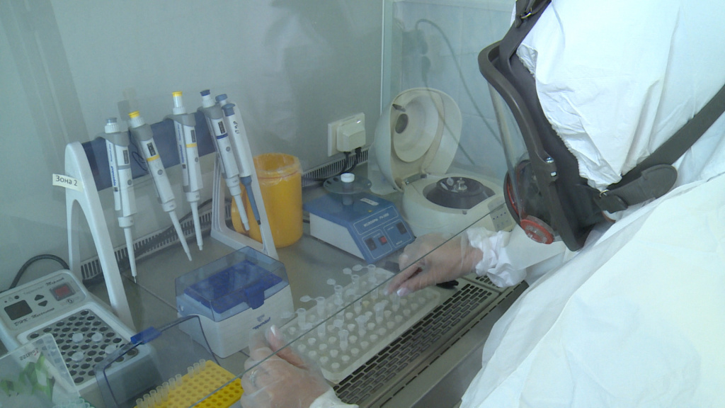 Астраханские учёные разработали тест на коронавирус