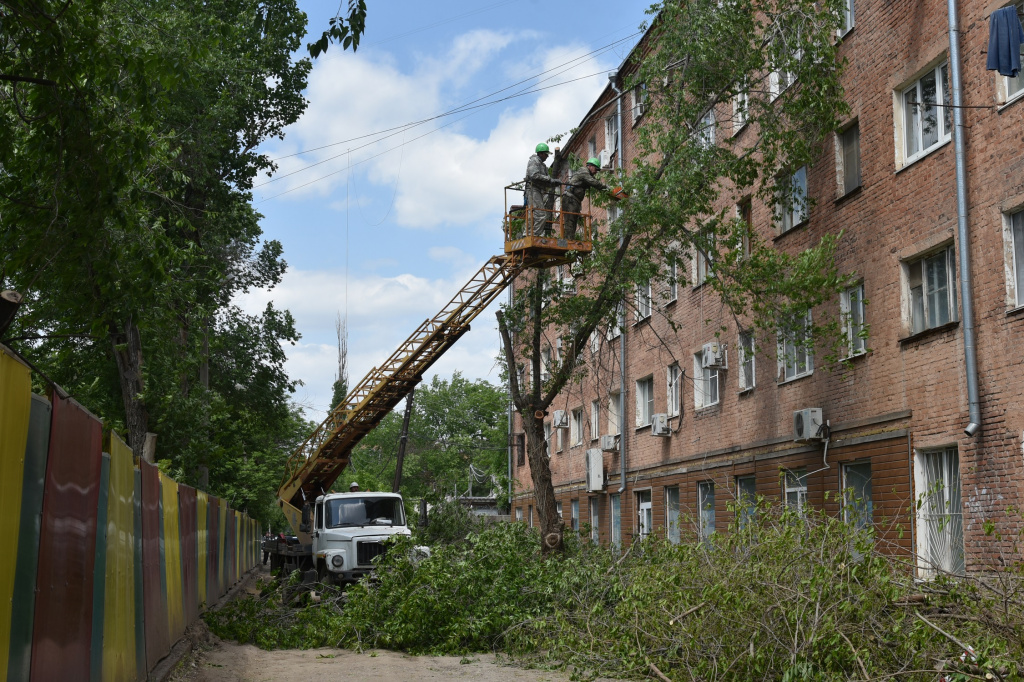 В Астрахани на улице Ляхова опилили аварийные деревья перед ремонтом
