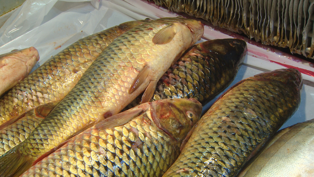 В Астраханской области замечен рост цен на рыбу