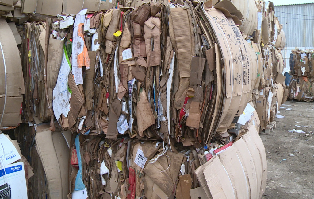 В Астрахани популяризируют раздельный сбор мусора