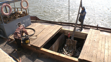 В Астрахани начался весенний промышленный лов рыбы